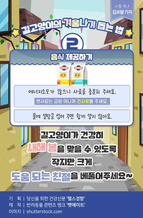 반려동물 건강이야기] 똑똑똑 냥님, 계십니까? 엔진룸에 잠든 길고양이를 깨우세요! - 헬스경향