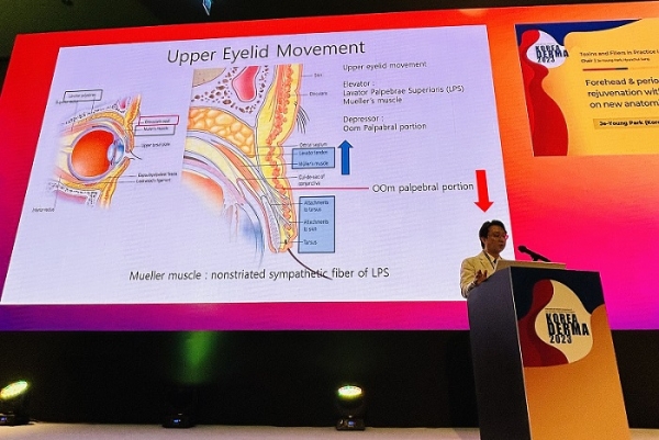 Director Je-Young Park of Apgujeong Oracle Dermatology delivered essential anatomical knowledge and precautions that dermatologists should be familiar with based on their strong clinical experience in filler and botulinum toxin injections.